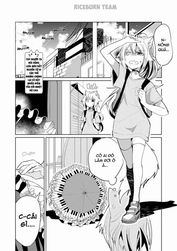 Catulus Syndrome 44 trang 2