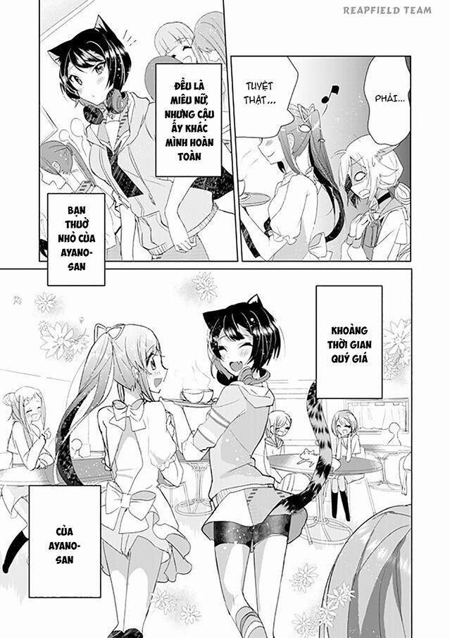 Catulus Syndrome 6 trang 11