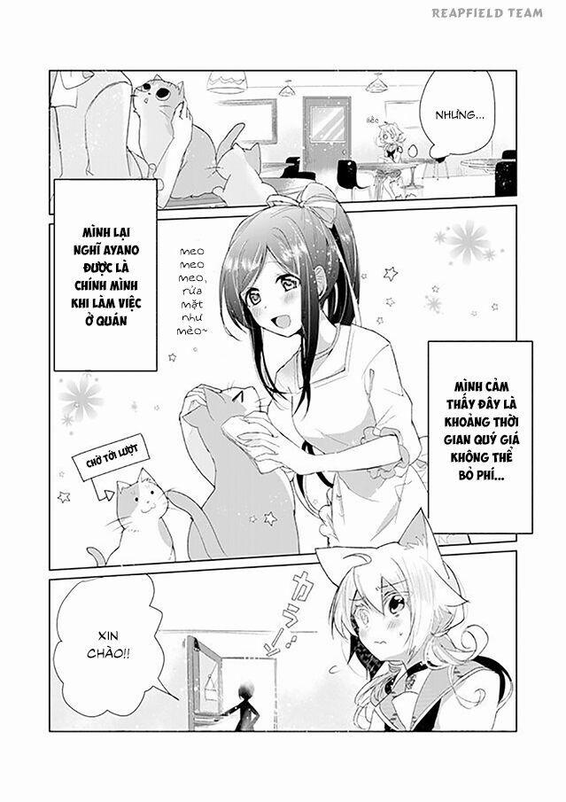 Catulus Syndrome 6 trang 2