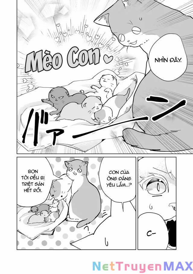 Catulus Syndrome 71 trang 4