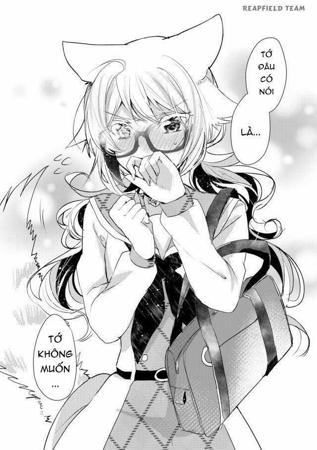 Catulus Syndrome 8 trang 13