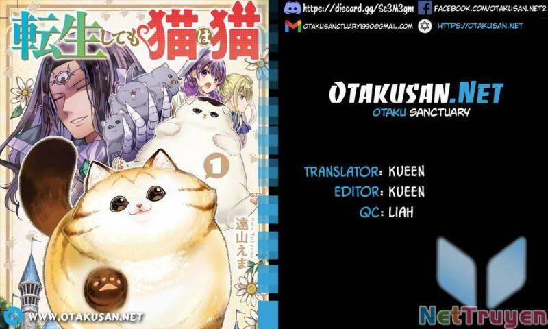 Câu Chuyện Về Một Bé Mèo Được Đầu Thai Ở Một Thế Giới Không Có Mèo 11 trang 1
