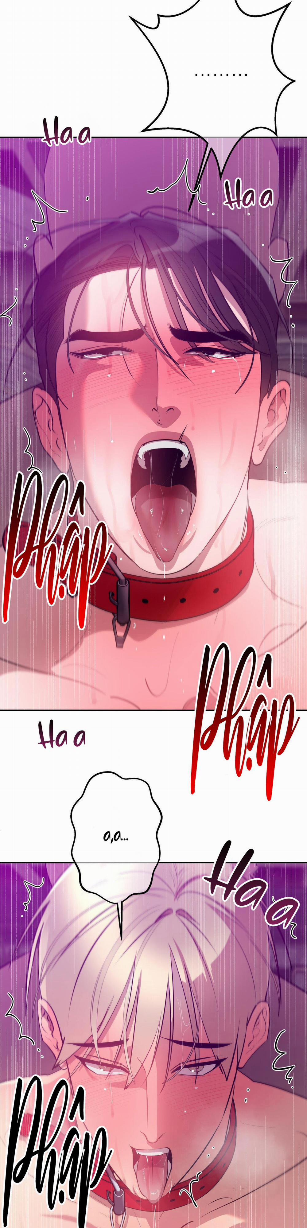 Câu Lạc Bộ Bí Mật 1.6 trang 1