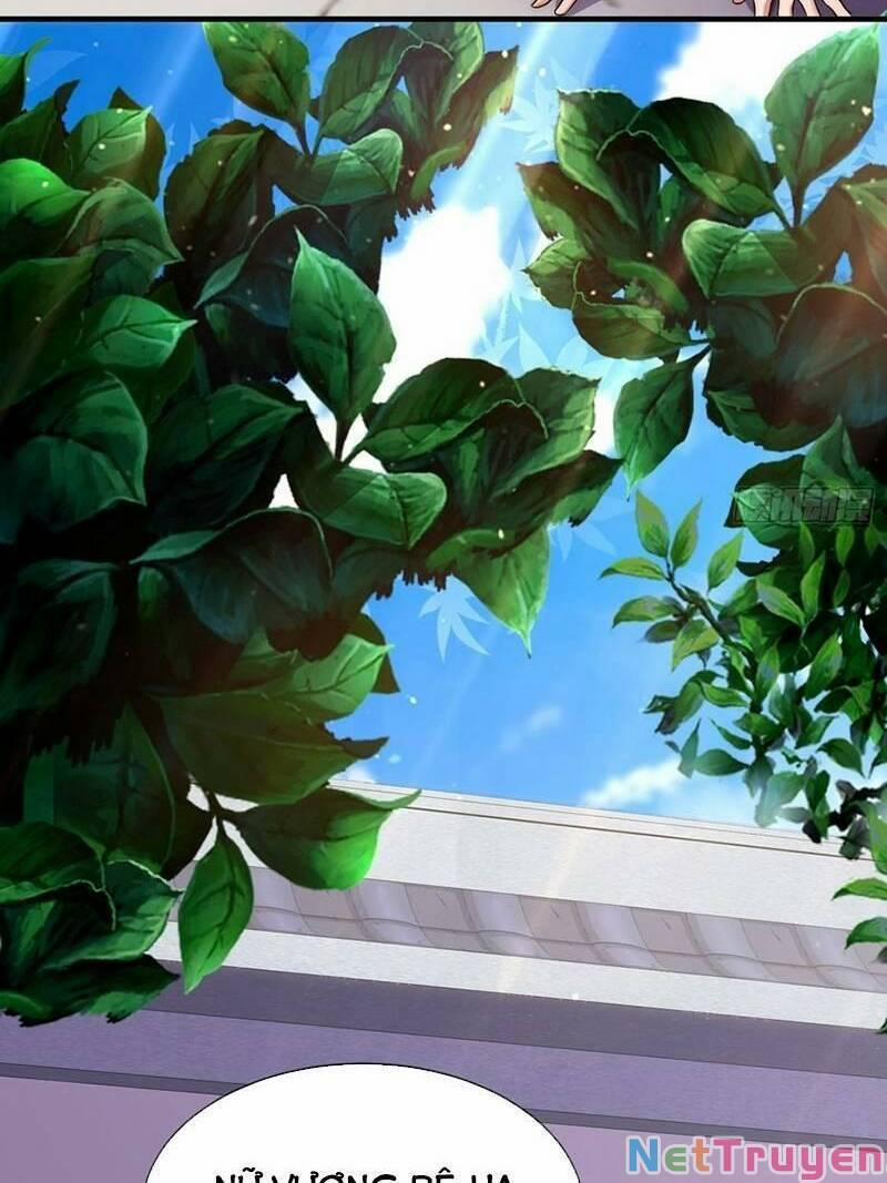 Cẩu Lương Thành Chuẩn Thánh, Ta Được Nữ Đế Triệu Hoán 7 trang 13