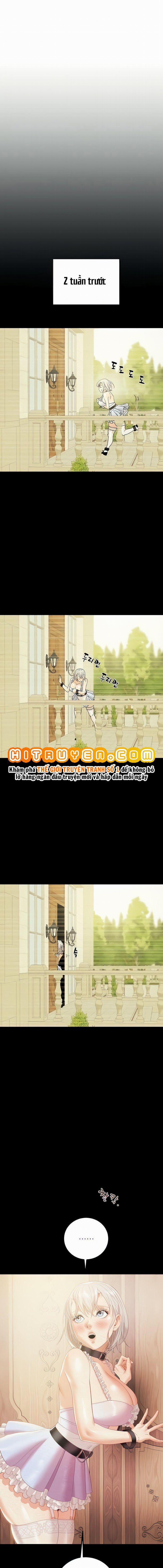 Cây Búa Thần 21 trang 1