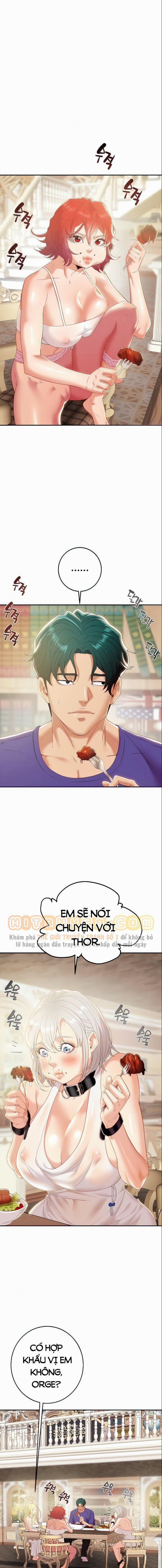 Cây Búa Thần 24 trang 1