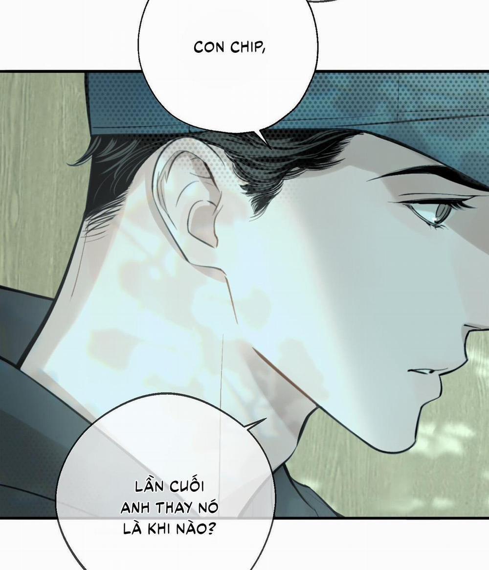 (Cbunu) Cú Dash 8 trang 34
