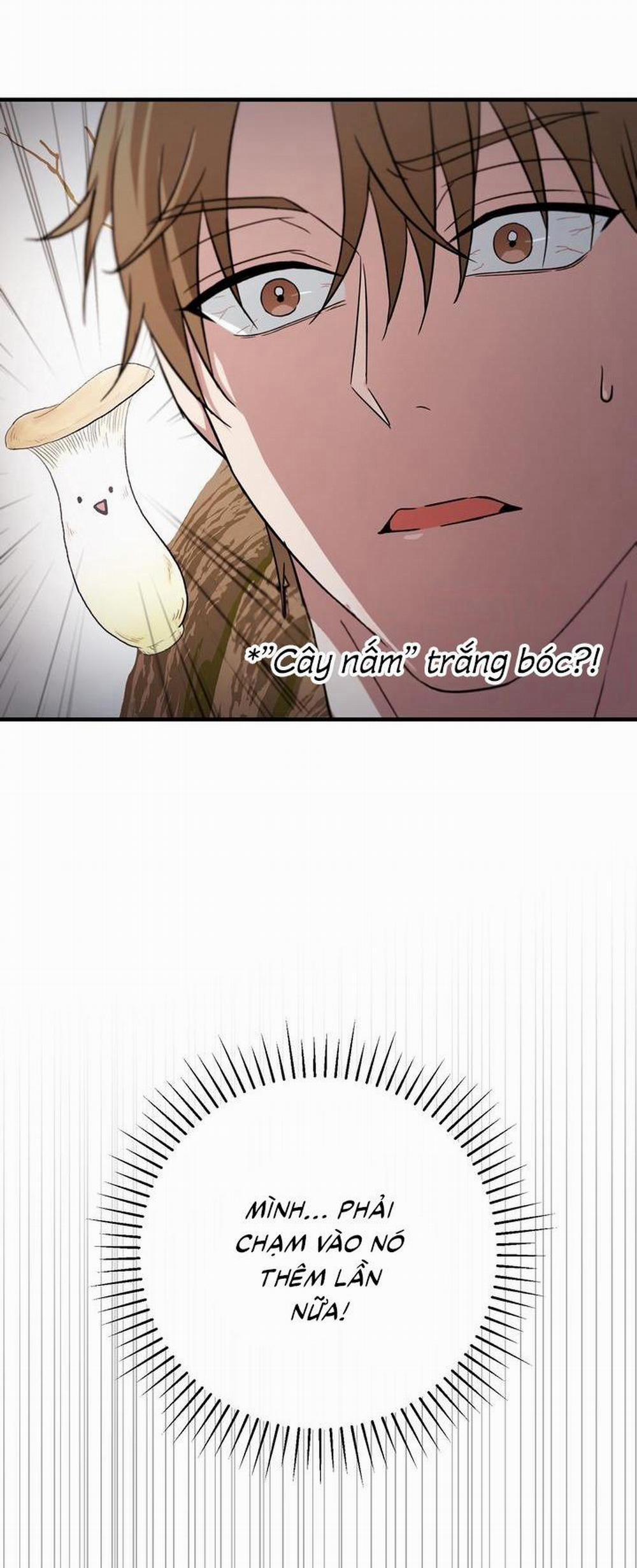 (Cbunu) Dẻo Dai Và Mềm Mại 0 trang 33