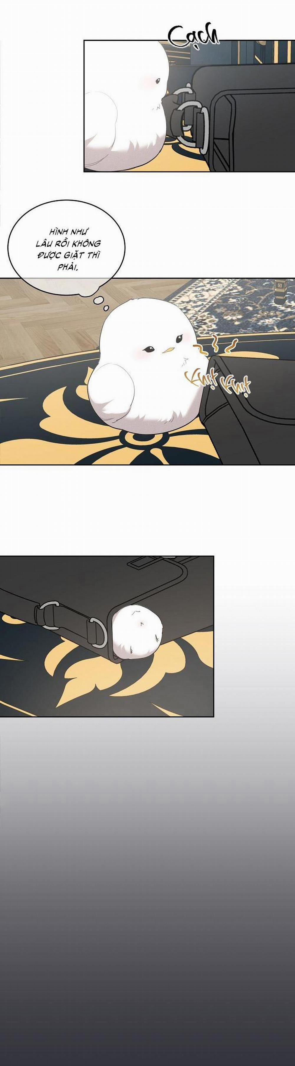 (Cbunu) Xin Người Đừng Nhấn 8 trang 22