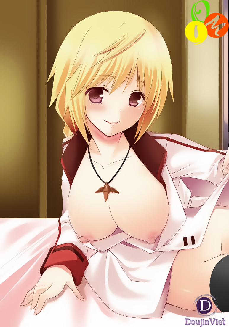 CD Play (Infinite Stratos) Oneshot trang 19