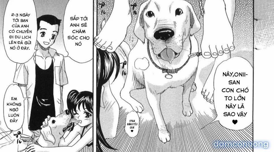 Chăm Sóc Cho Chó 1 trang 0