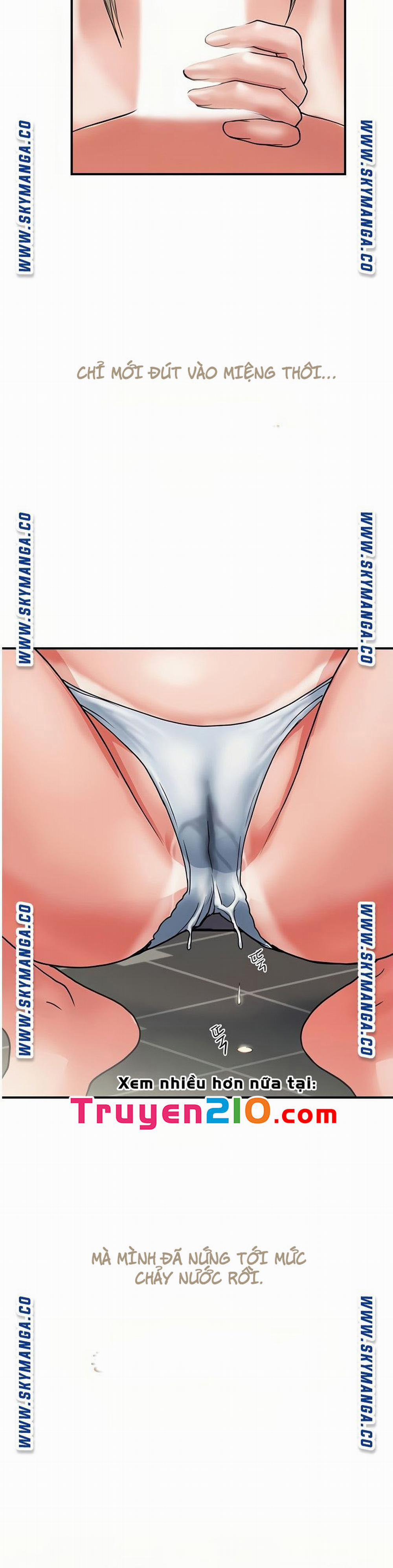 Chất Dẫn Dục 11 trang 11