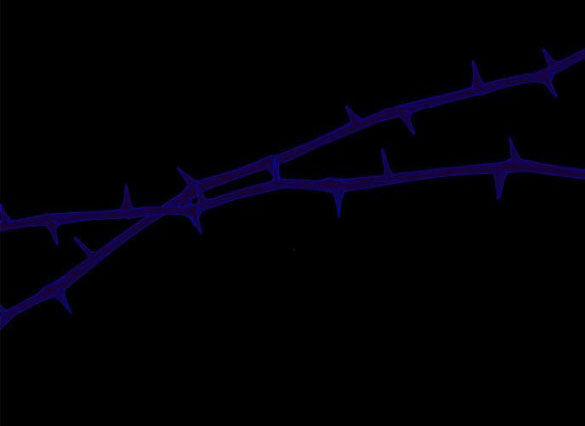 Chị Gái À, Kiếp Này Em Chính Là Nữ Hoàng 60.1 trang 37