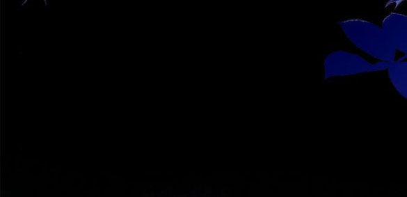 Chị Gái À, Kiếp Này Em Chính Là Nữ Hoàng 60.1 trang 54