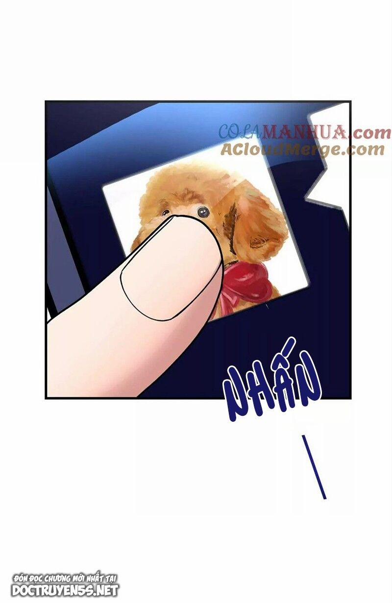 Chị Gái Tôi Là Đại Minh Tinh 194 trang 20