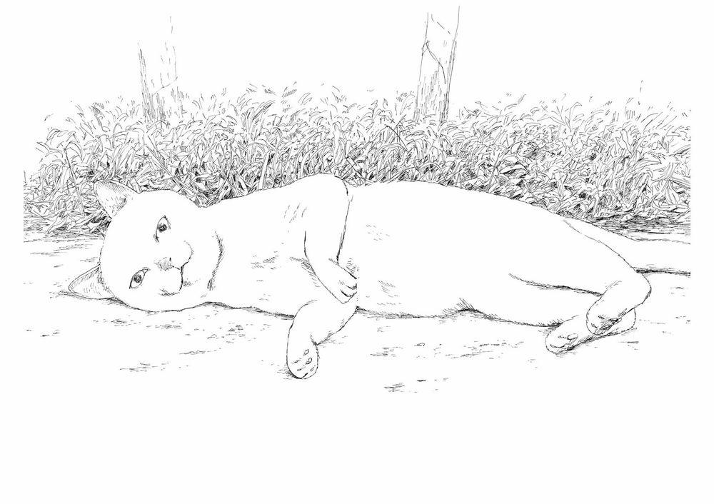 Chi No Wadachi 95 trang 18