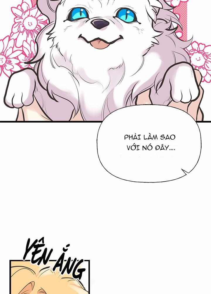 Chị Tôi Đã Nhặt Về Một Nam Chính Quyến Rũ 52 trang 2