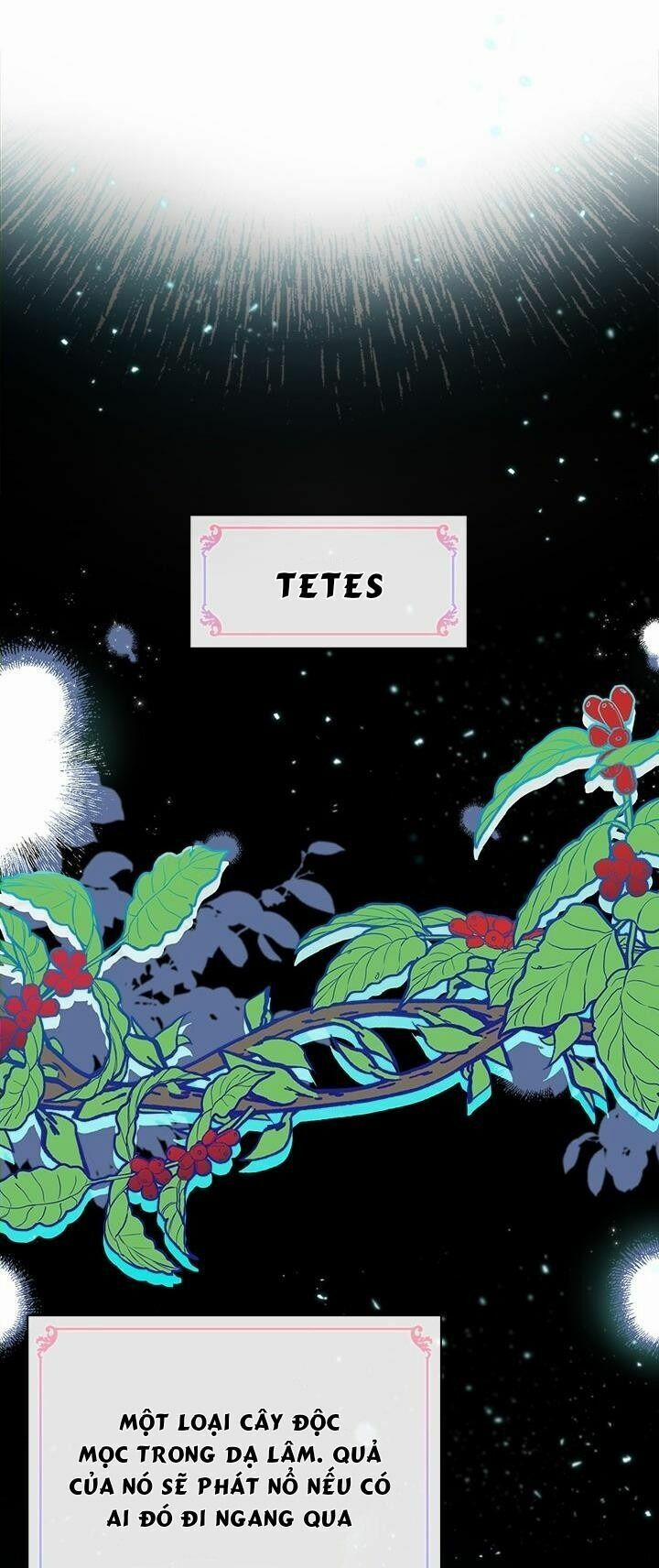 Chị Tôi Đã Nhặt Về Nhà Một Nam Chính Quyến Rũ 11 trang 2