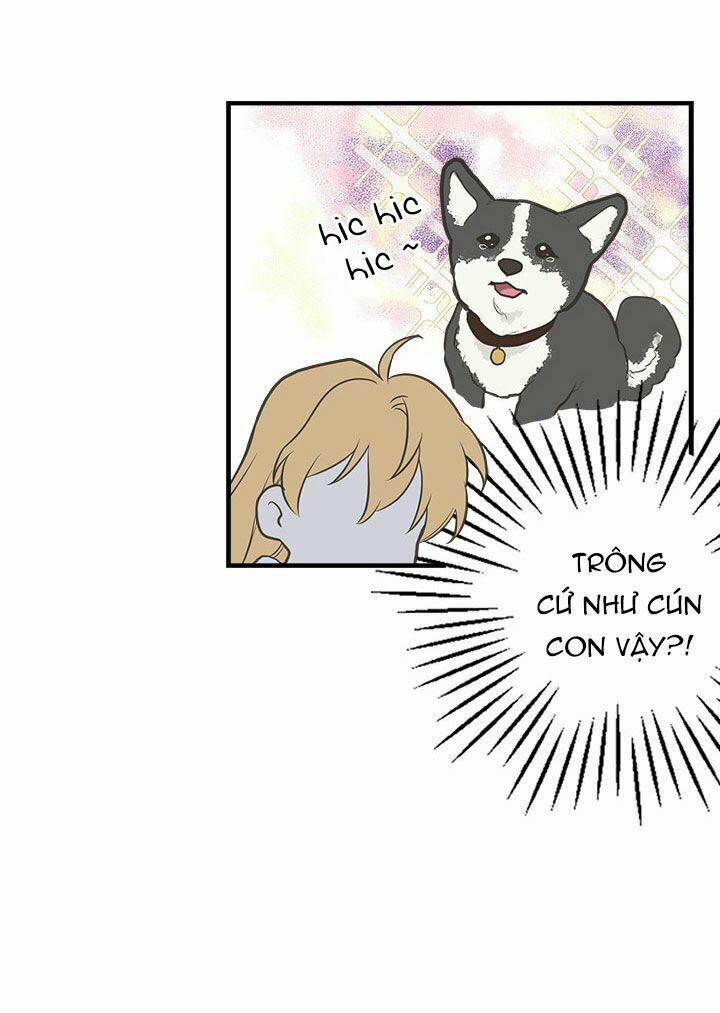 Chị Tôi Đã Nhặt Về Nhà Một Nam Chính Quyến Rũ 12 trang 40