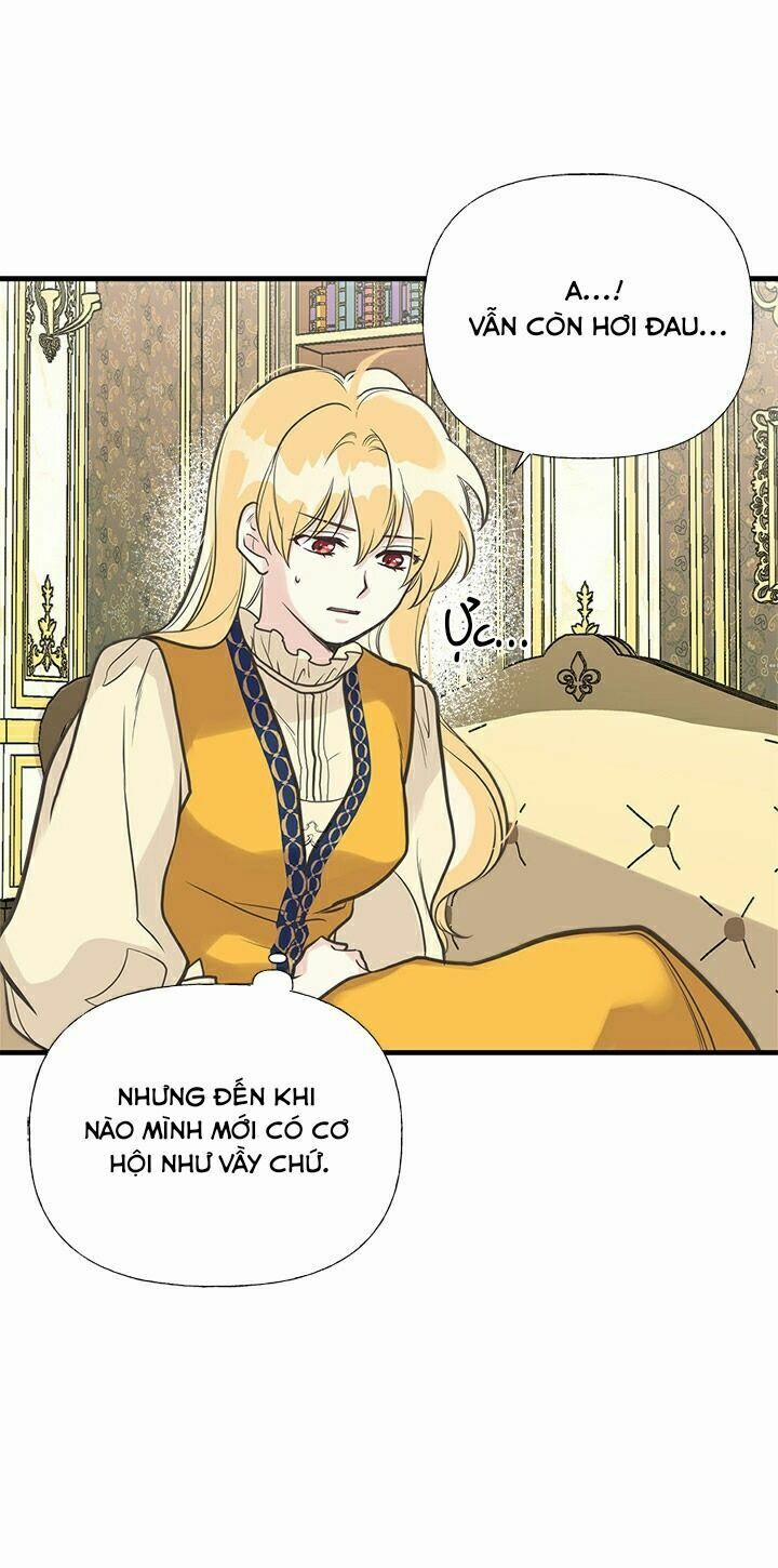 Chị Tôi Đã Nhặt Về Nhà Một Nam Chính Quyến Rũ 34 trang 12