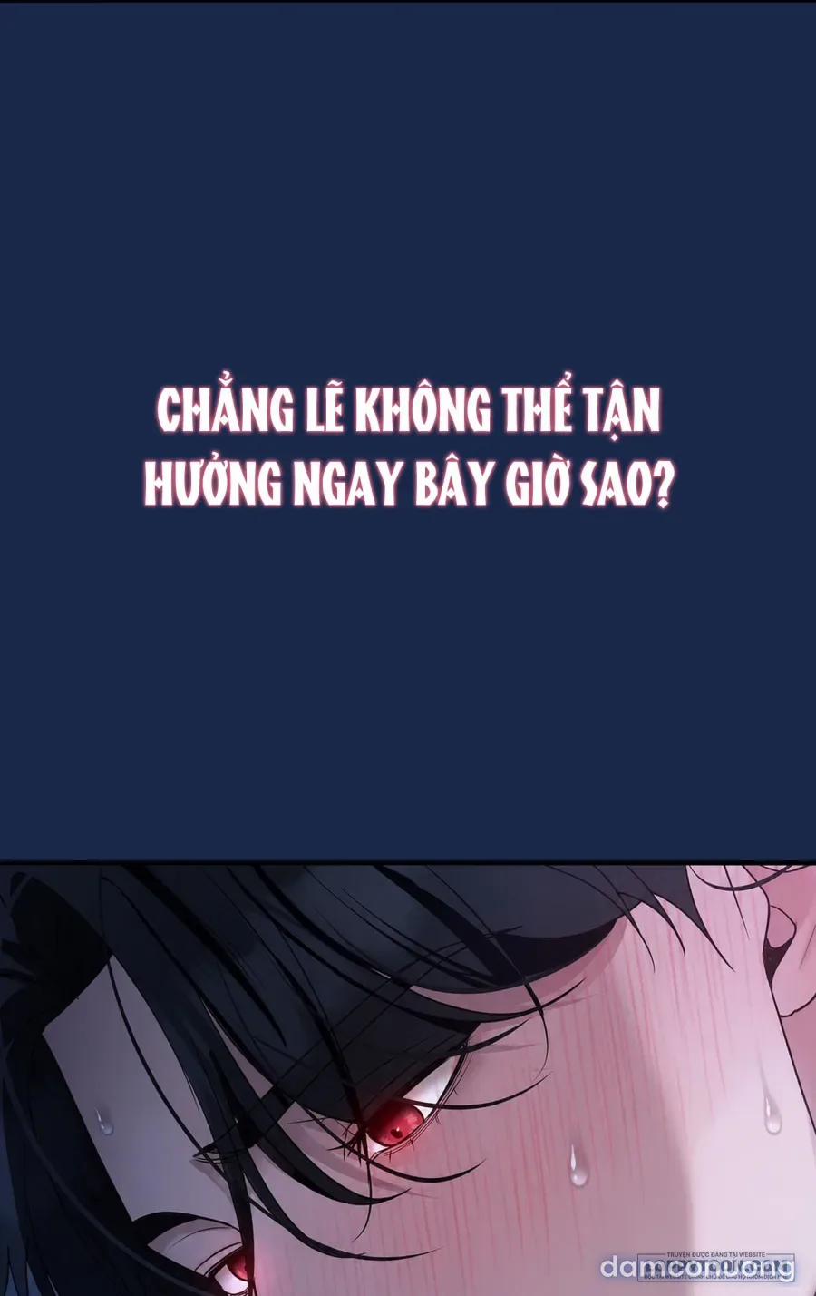 Chó Hoang Mơ Giấc Mơ Săn Mồi 31 trang 9