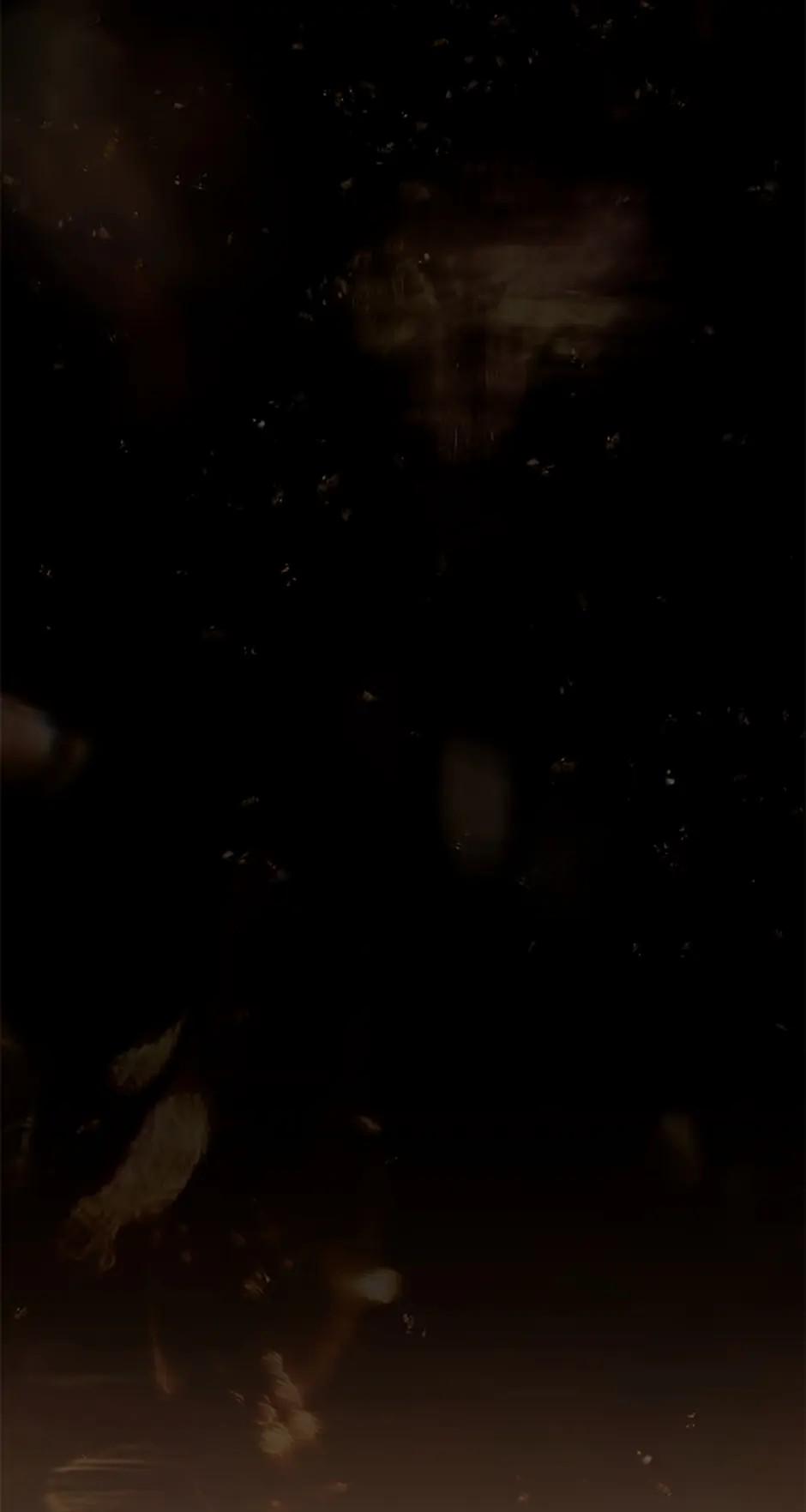 Chốn Bình Yên Của Công Tước Richard 34.1 trang 20