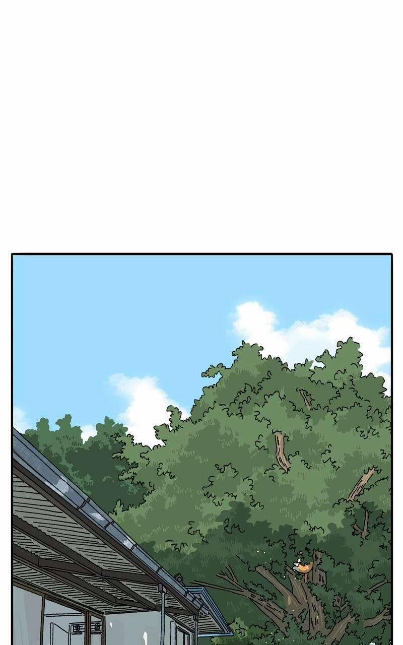 Chú Mèo Tata 2 trang 1