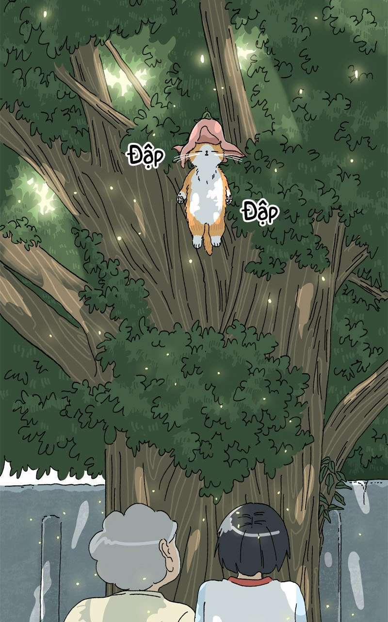 Chú Mèo Tata 2 trang 11