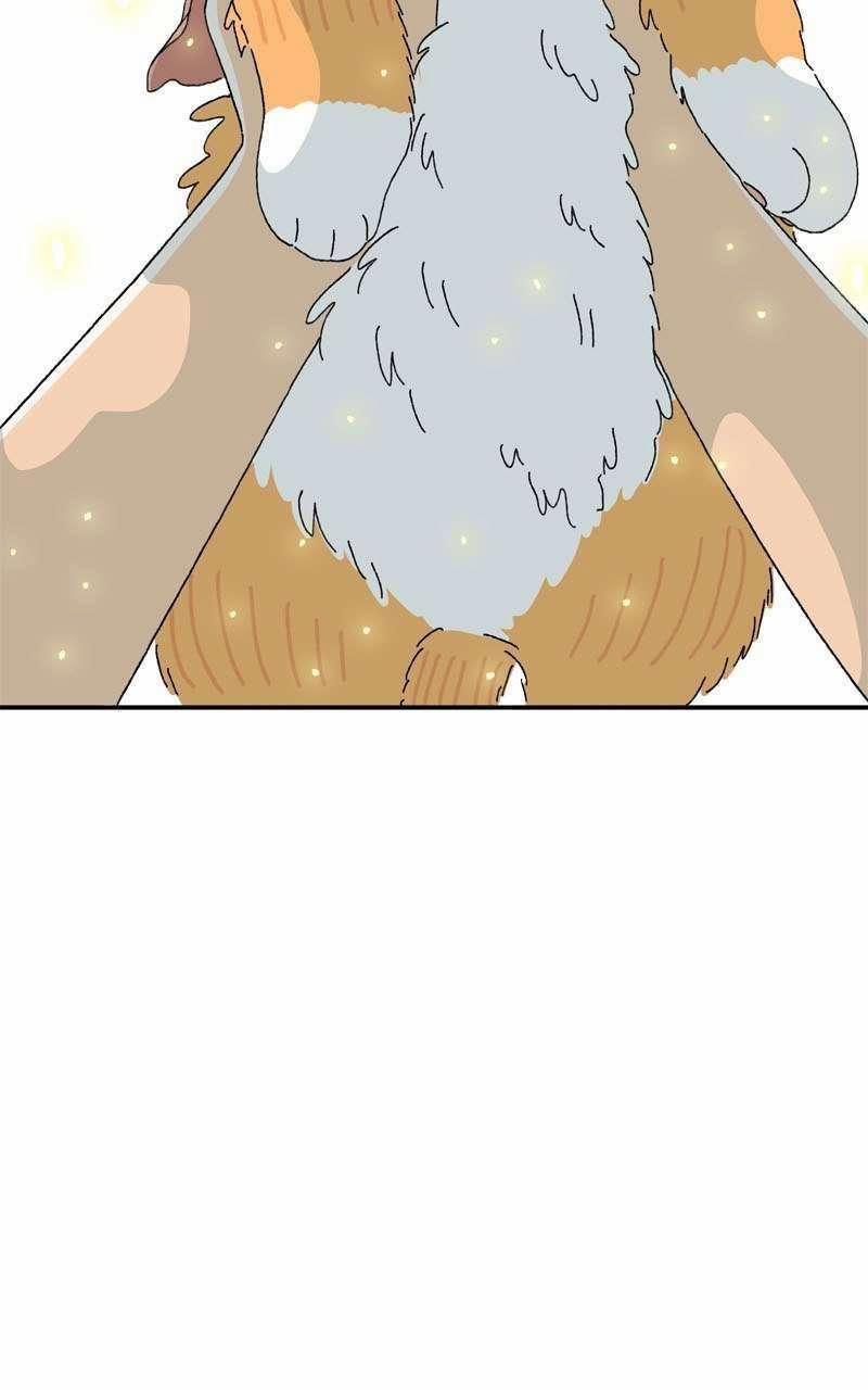 Chú Mèo Tata 2 trang 16