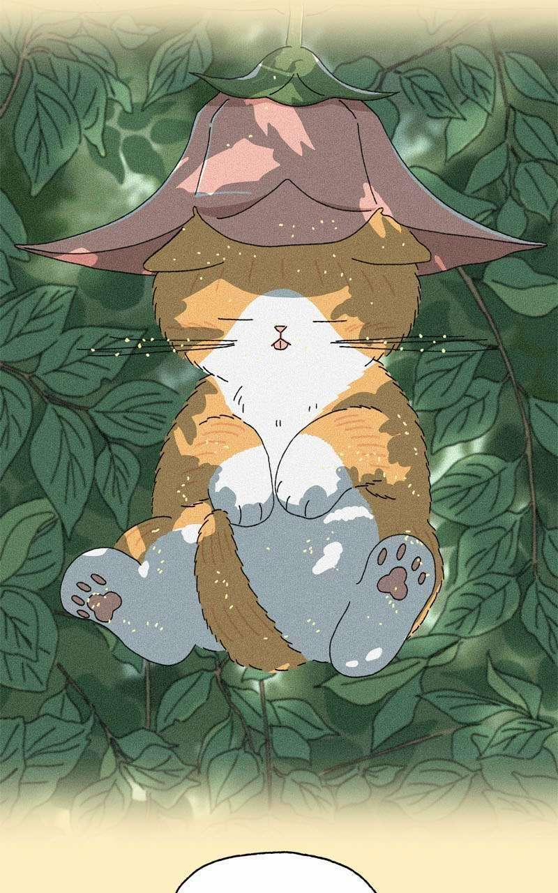 Chú Mèo Tata 2 trang 36