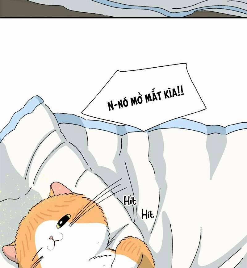 Chú Mèo Tata 2 trang 68