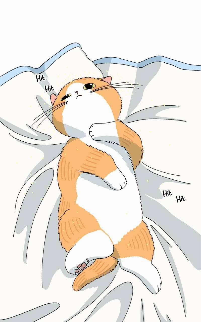 Chú Mèo Tata 3 trang 1