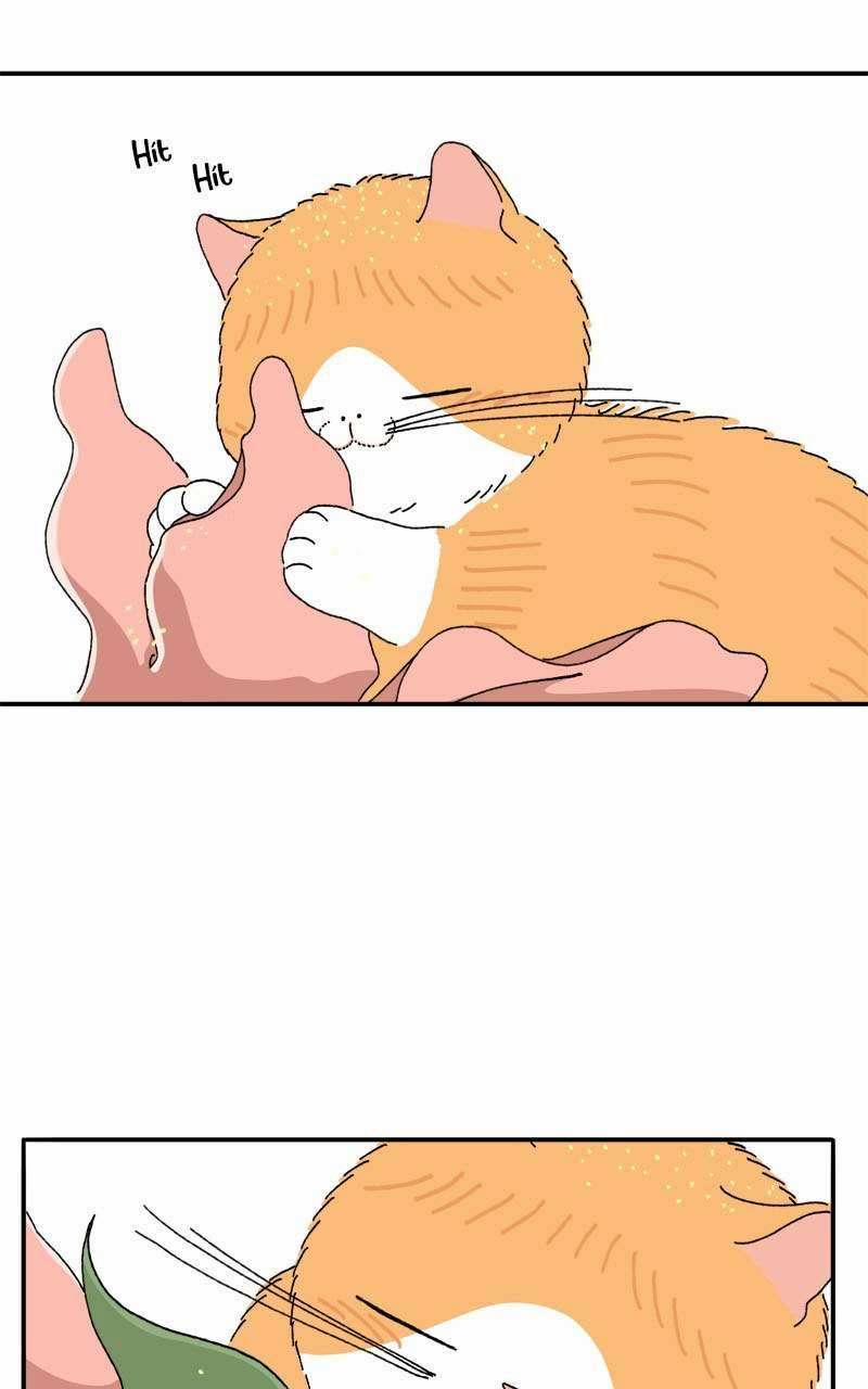 Chú Mèo Tata 3 trang 10