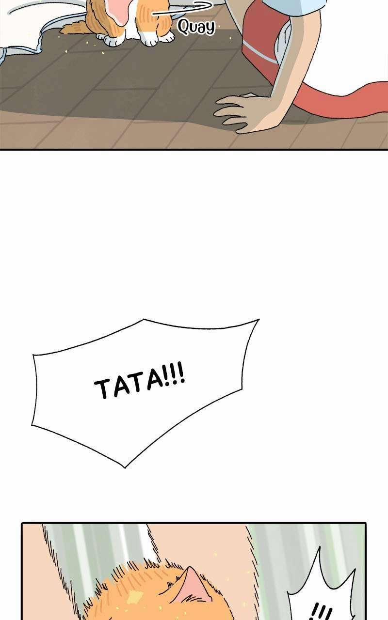 Chú Mèo Tata 3 trang 12