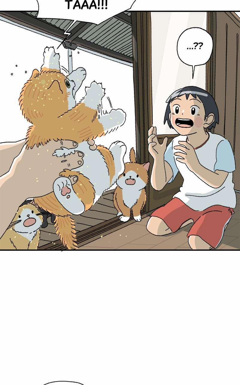 Chú Mèo Tata 3 trang 14