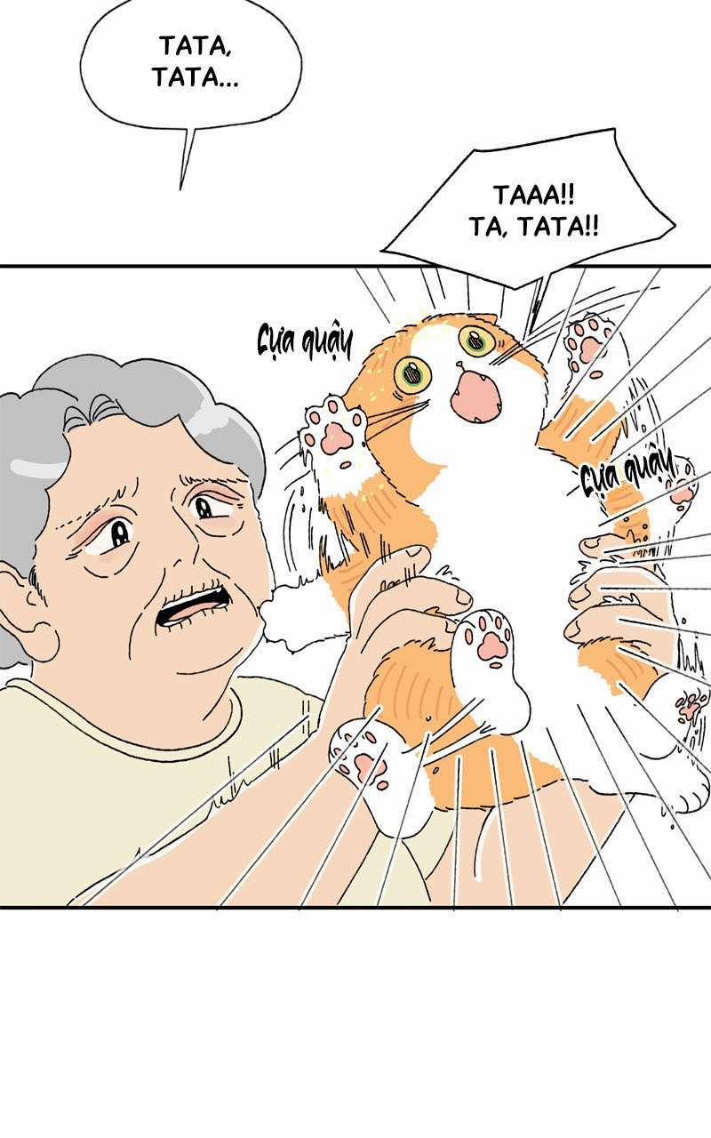 Chú Mèo Tata 3 trang 15