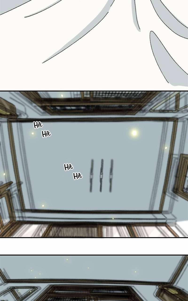 Chú Mèo Tata 3 trang 2