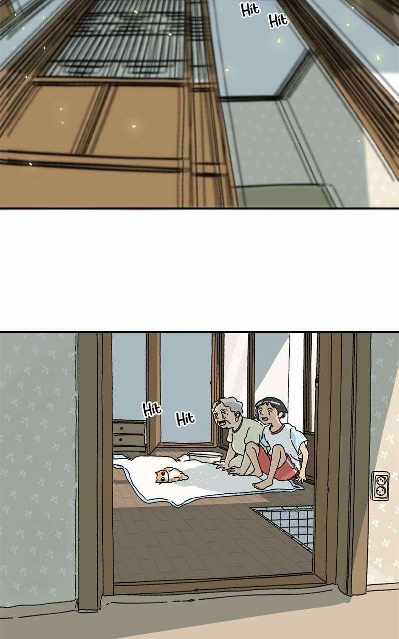 Chú Mèo Tata 3 trang 3