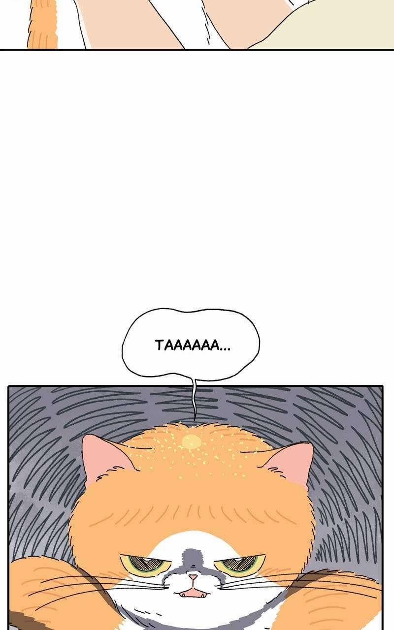 Chú Mèo Tata 3 trang 35