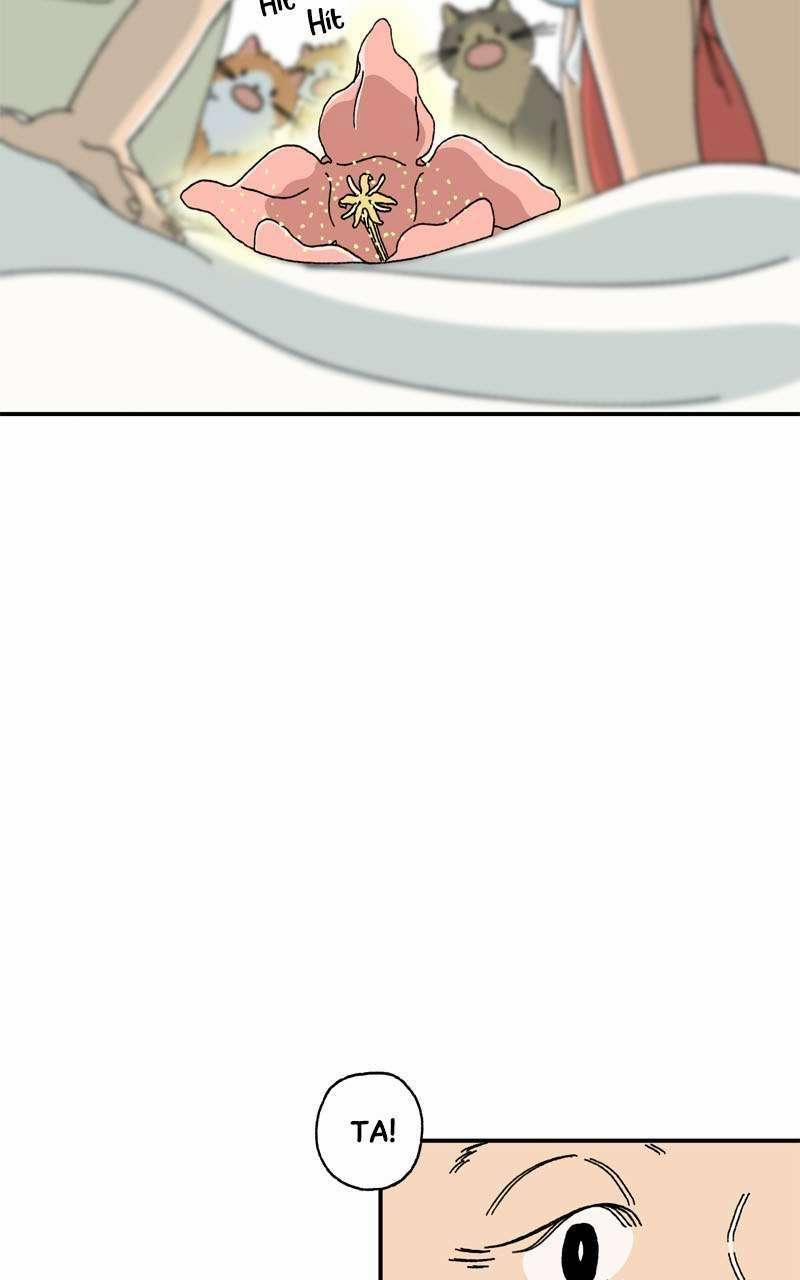 Chú Mèo Tata 3 trang 6