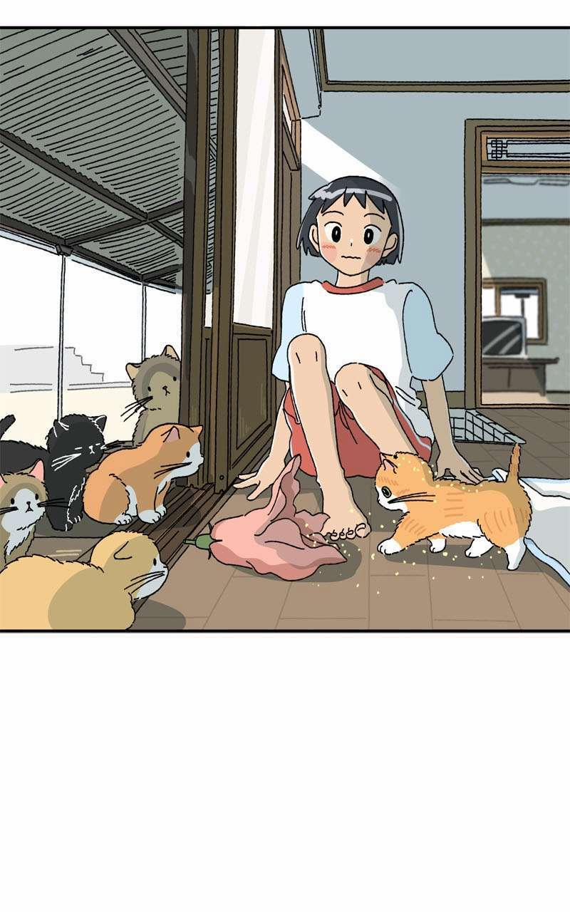 Chú Mèo Tata 3 trang 9