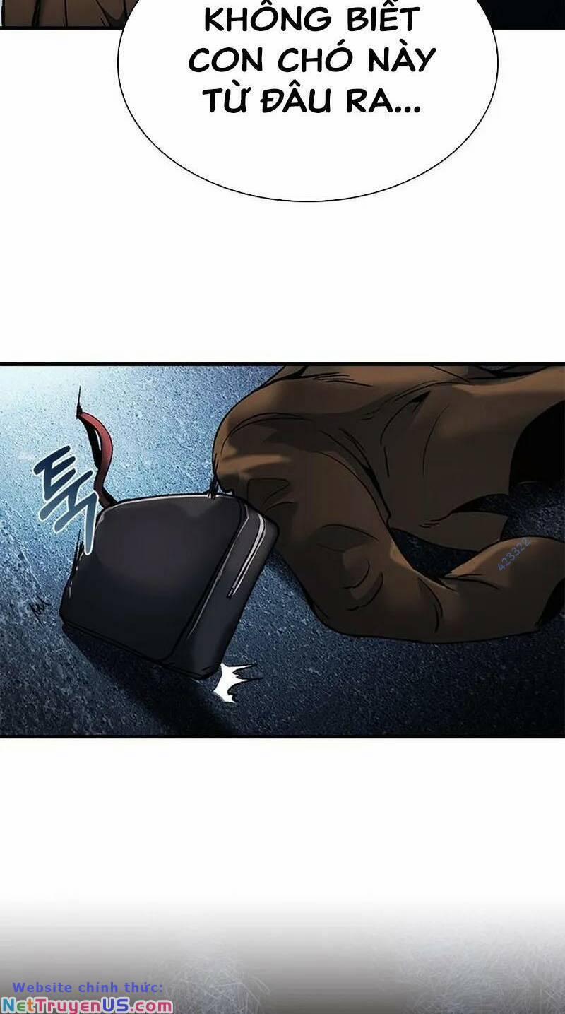 Chủ Tịch Kang: Người Mới Đến 17 trang 3