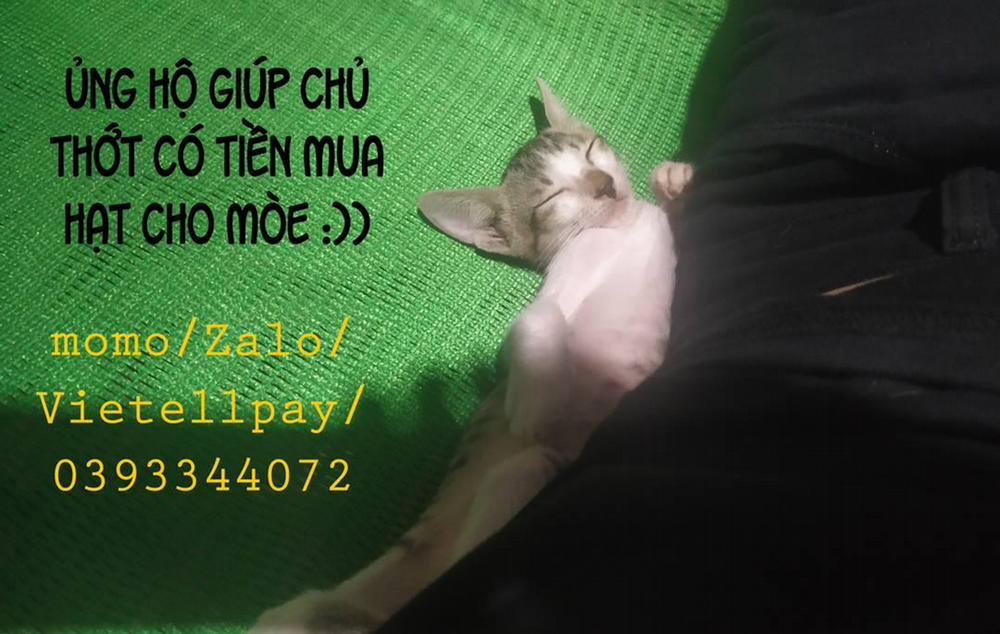 Chúng ta không phải anh em ruột 2 - END trang 1