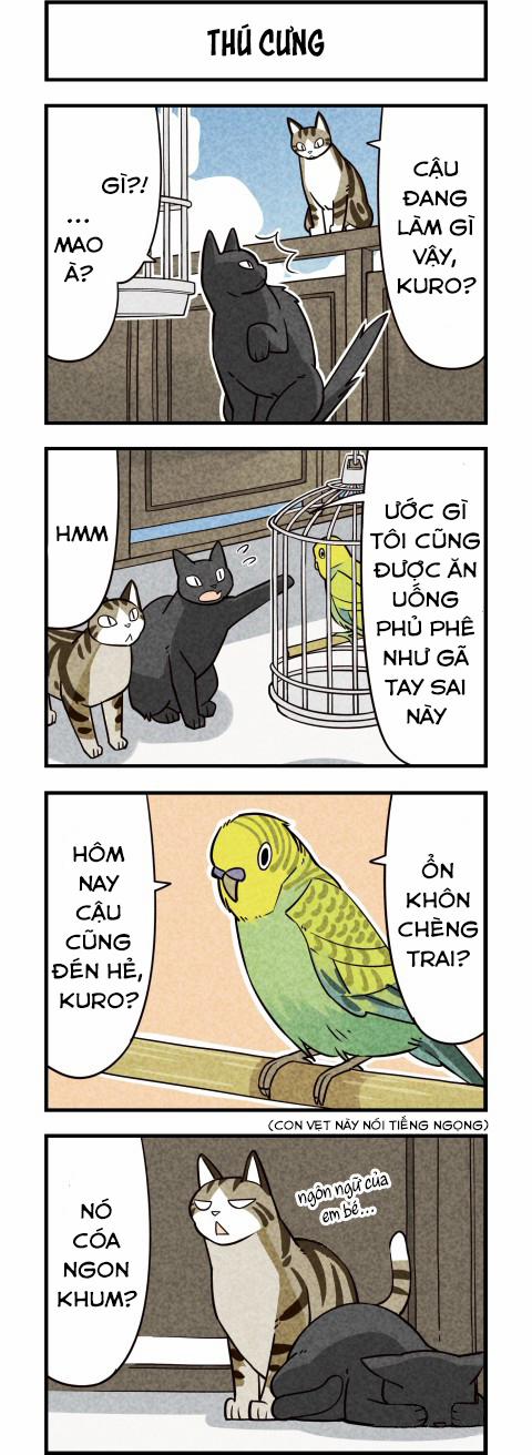 Chúng Tôi Là Mèo 10 trang 2