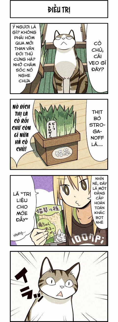 Chúng Tôi Là Mèo 11 trang 5