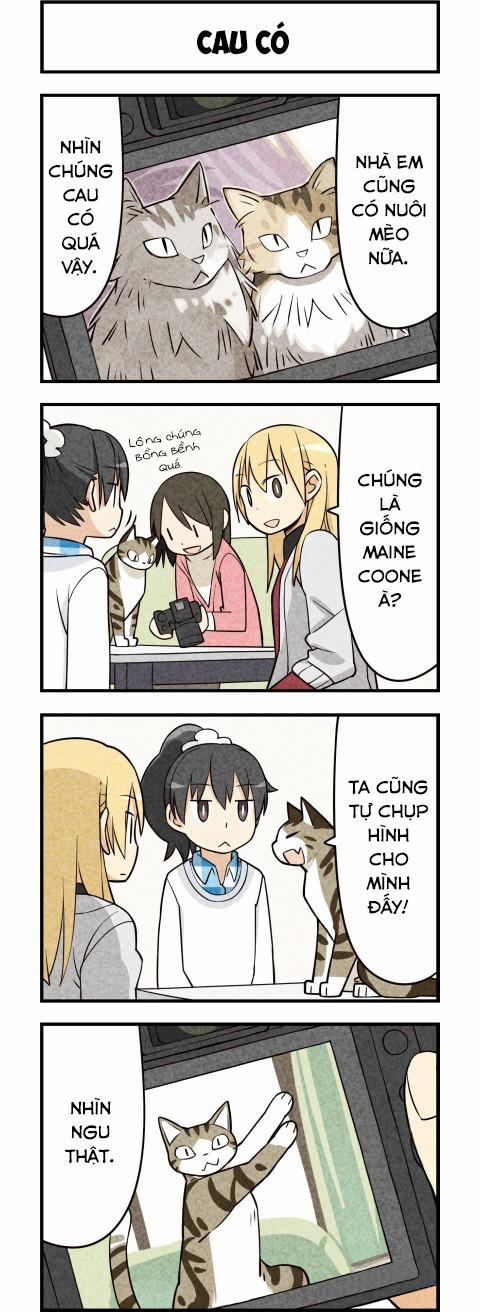 Chúng Tôi Là Mèo 15 trang 5