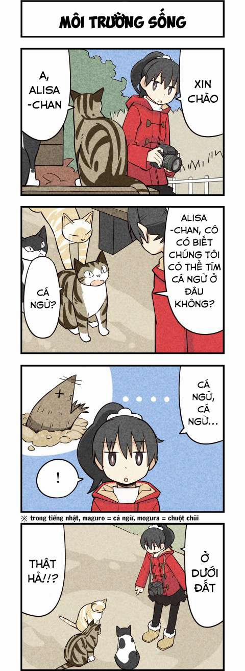 Chúng Tôi Là Mèo 16 trang 2