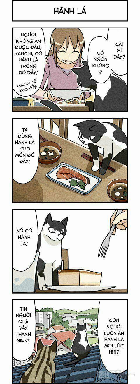 Chúng Tôi Là Mèo 3 trang 1