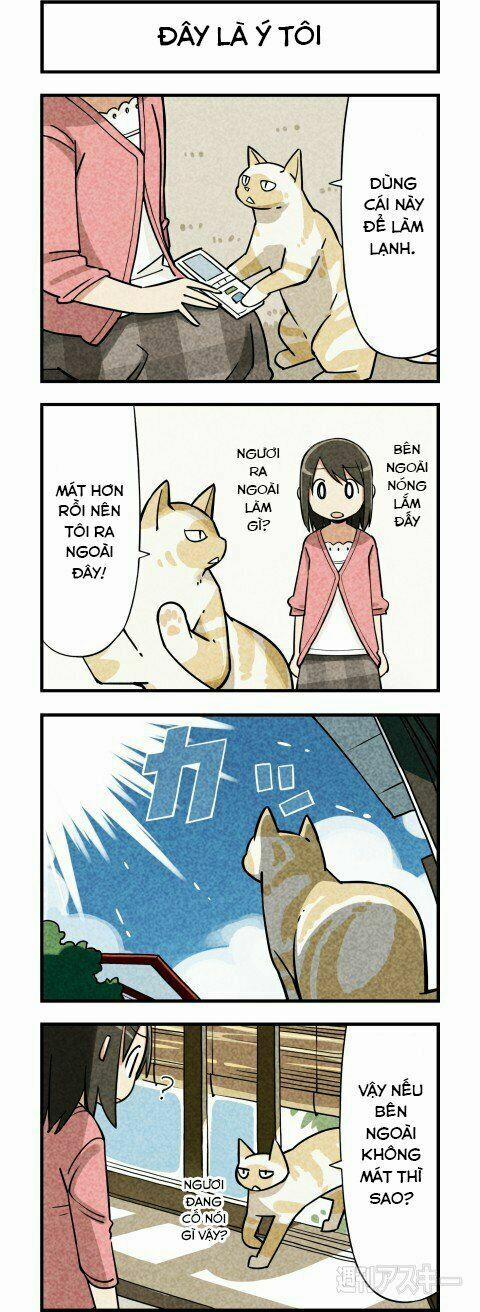Chúng Tôi Là Mèo 4 trang 4