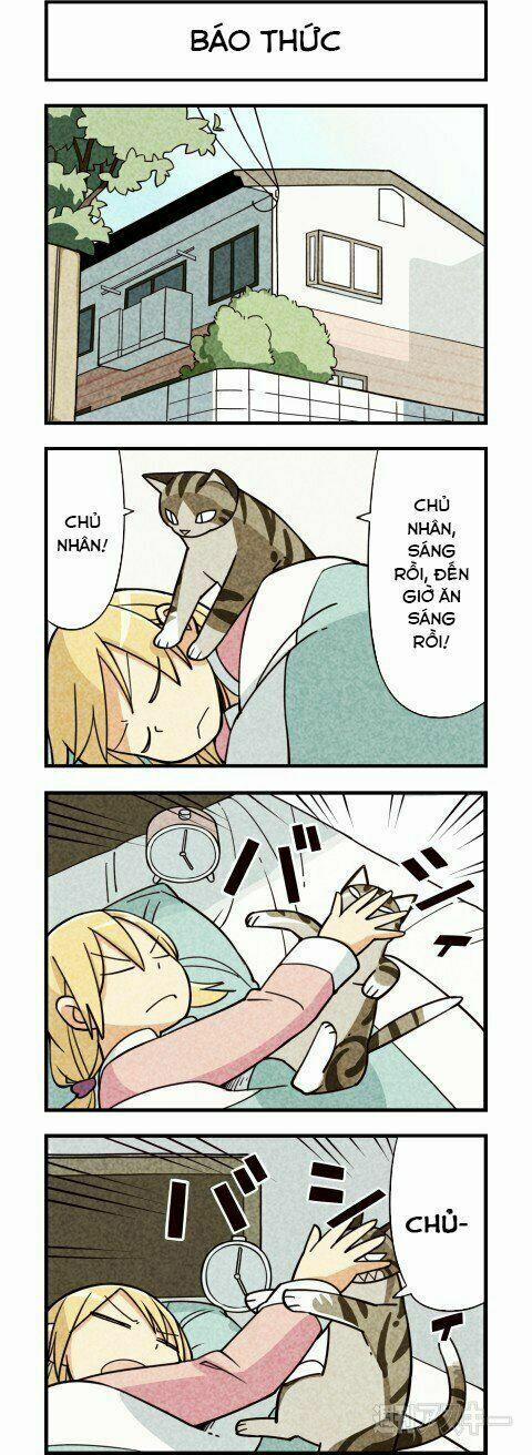 Chúng Tôi Là Mèo 7 trang 1